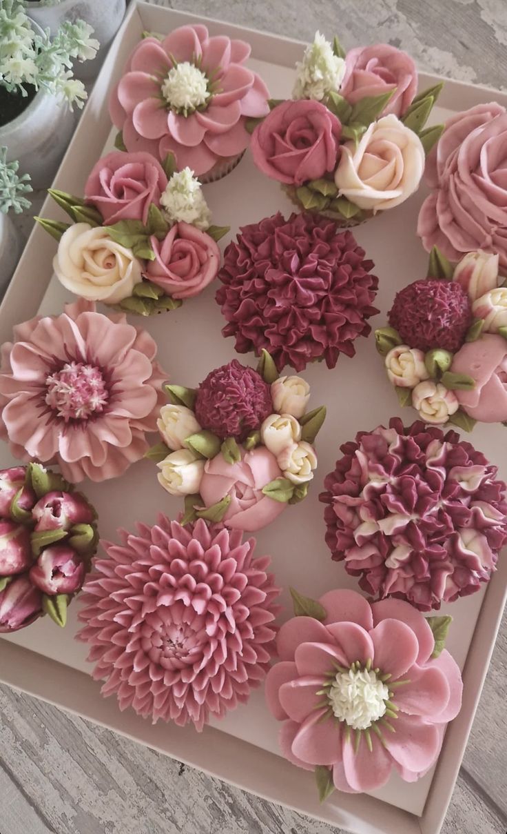 Pink Cupcakes